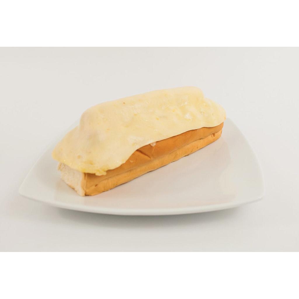 PERRO MASTROPIERO PARMA